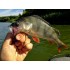 Форма Рейнс ЖТейл Граб (Reins G-Tail Grub)